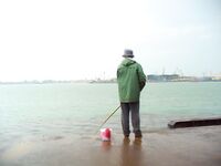 Бургас, дожди и самодур: ставридка любит плохую погоду