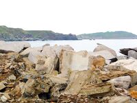 Бургас, дожди и самодур: ставридка любит плохую погоду