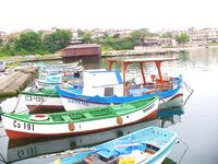 Бургас, дожди и самодур: ставридка любит плохую погоду