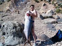 Турция, подводная охота: две ричолы 50 и 19 кг — мощные трофеи