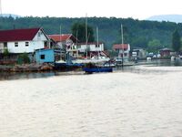 Росенец и «Японский порт»: гроза, жара и ставридка на утреннем свете