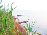 Росенец и «Японский порт»: гроза, жара и ставридка на утреннем свете