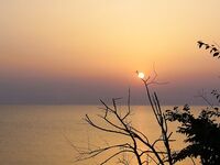 Росенец и «Японский порт»: гроза, жара и ставридка на утреннем свете