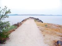 Росенец и «Японский порт»: гроза, жара и ставридка на утреннем свете