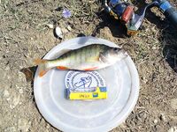 Лето в разгаре: когда по морю пусто — уезжаю на пресные воды