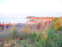 Лето в разгаре: когда по морю пусто — уезжаю на пресные воды