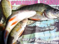 Лето в разгаре: когда по морю пусто — уезжаю на пресные воды