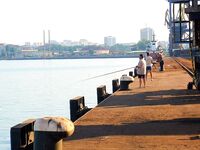 Лето в разгаре: когда по морю пусто — уезжаю на пресные воды