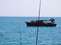 Поморие, глаза полны — руки пусты: выход без результата