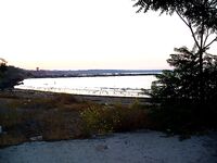 Поморие, глаза полны — руки пусты: выход без результата