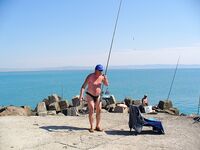 После шторма в Поморие: скаты ушли вглубь, остались ставридка и сингиль