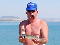 После шторма в Поморие: скаты ушли вглубь, остались ставридка и сингиль