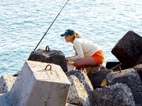 Поморие, флирт со скатом: рекорд 7,5 кг и прочая рыба по месту