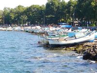 Поморие, флирт со скатом: рекорд 7,5 кг и прочая рыба по месту