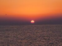 Опуск день первый: Поморие в 4:00, ставрида на самодур и цель по скату