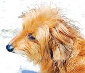 Опуск день первый: Поморие в 4:00, ставрида на самодур и цель по скату