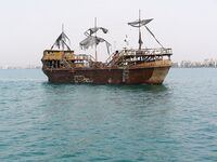 День второй под жарой: безрыбье и один маленький сарган