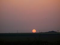 День второй под жарой: безрыбье и один маленький сарган