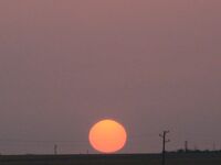 День второй под жарой: безрыбье и один маленький сарган