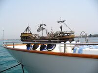 День второй под жарой: безрыбье и один маленький сарган