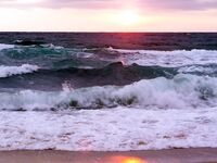 Порт Бургас 01.08: сингиль на сбиролино 20 г, удача после шквала