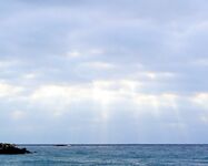 Порт Бургас 01.08: сингиль на сбиролино 20 г, удача после шквала