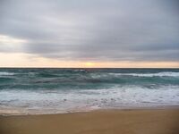 Порт Бургас 01.08: сингиль на сбиролино 20 г, удача после шквала