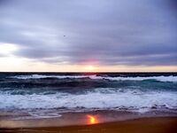 Порт Бургас 01.08: сингиль на сбиролино 20 г, удача после шквала