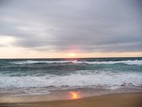 Порт Бургас 01.08: сингиль на сбиролино 20 г, удача после шквала