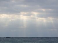 Порт Бургас 01.08: сингиль на сбиролино 20 г, удача после шквала