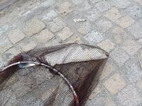 Август меняет лицо: дождь, солнце, ветер — рыбалка держится в плюс