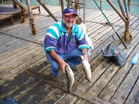 Август меняет лицо: дождь, солнце, ветер — рыбалка держится в плюс