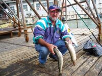 Август меняет лицо: дождь, солнце, ветер — рыбалка держится в плюс