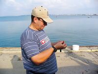 Поморие, встреча с FINN: нереис, первый сингиль и разговоры под ракию