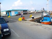 Поморие, встреча с FINN: нереис, первый сингиль и разговоры под ракию