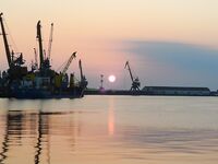 Хамса в Порту Бургас: самодур №7–8, красный или белый, плюс ставрида и сингиль