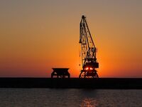 Хамса в Порту Бургас: самодур №7–8, красный или белый, плюс ставрида и сингиль