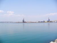 Хамса в Порту Бургас: самодур №7–8, красный или белый, плюс ставрида и сингиль