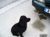 Первый луфар сезона: ранний выезд в Порт Бургас и стартовая рыба