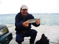 Первый луфар сезона: ранний выезд в Порт Бургас и стартовая рыба