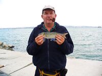 Первый луфар сезона: ранний выезд в Порт Бургас и стартовая рыба