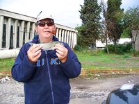 Тихий день — один луфар: отмечаю штучный клёв