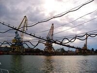 Рабочий день: 1 луфар и 24 ставриды — темп держится на струйке