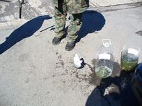 Сегодня счёт 3:2 по луфарю в Порту Бургас: без слов, только фото