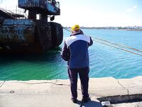 Сегодня счёт 3:2 по луфарю в Порту Бургас: без слов, только фото