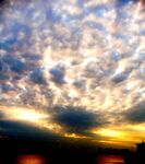 Луфари ушли, остались чернокопы: ищем паламуда, погода дождевая