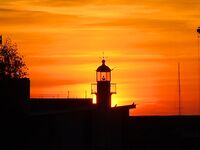 Луфари ушли, остались чернокопы: ищем паламуда, погода дождевая