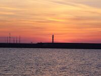 Луфари ушли, остались чернокопы: ищем паламуда, погода дождевая