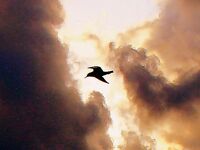 Порт Бургас перед штормом: утренние кадры и сборы под погоду