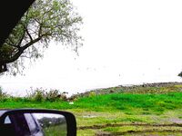 Поморие под дождём и гроза на Мандре: калкан-малыш и «капут» по клёву